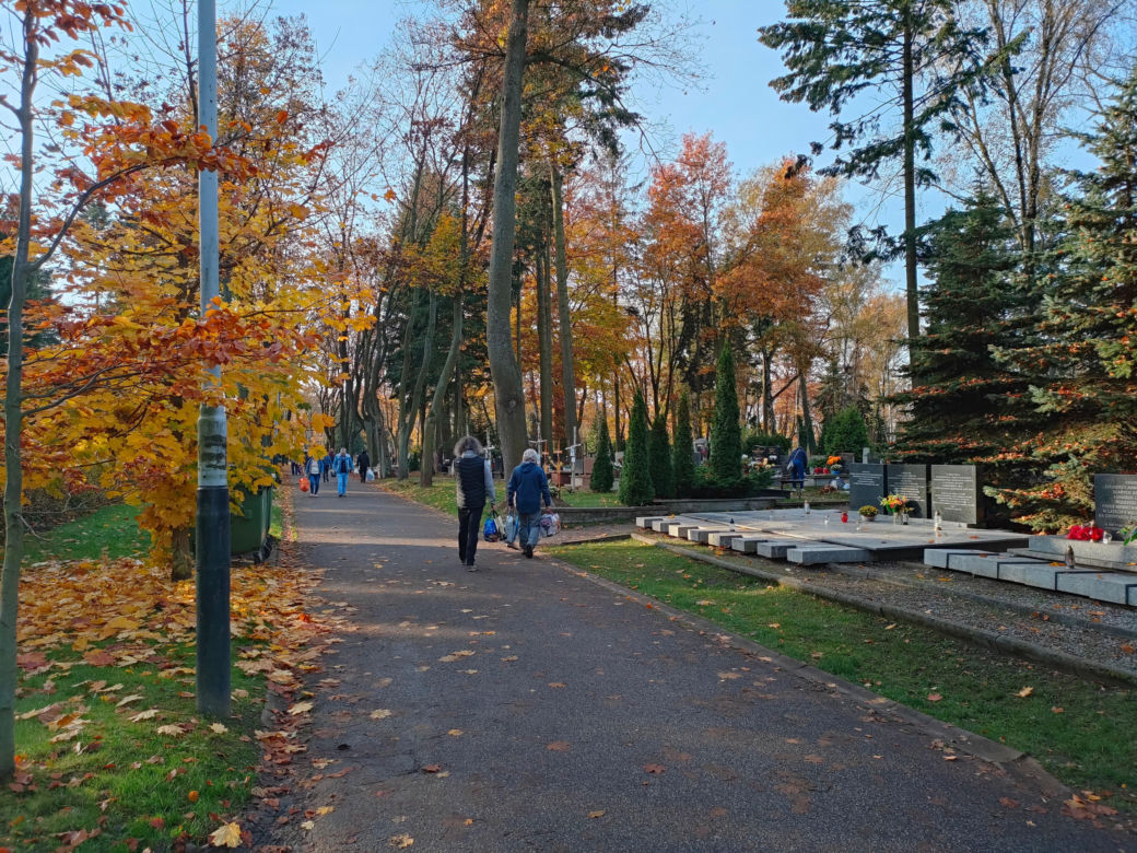 Cmentarz „Doły”. Łodzianie zadbali o to miejsce [ZDJĘCIA]