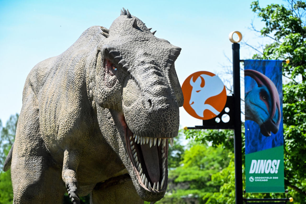 Dinozaury w Brookfield Zoo Chicago