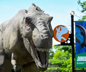 Prehistoryczne giganty pod Chicago! Słynne zoo ściągnęło nowych lokatorów