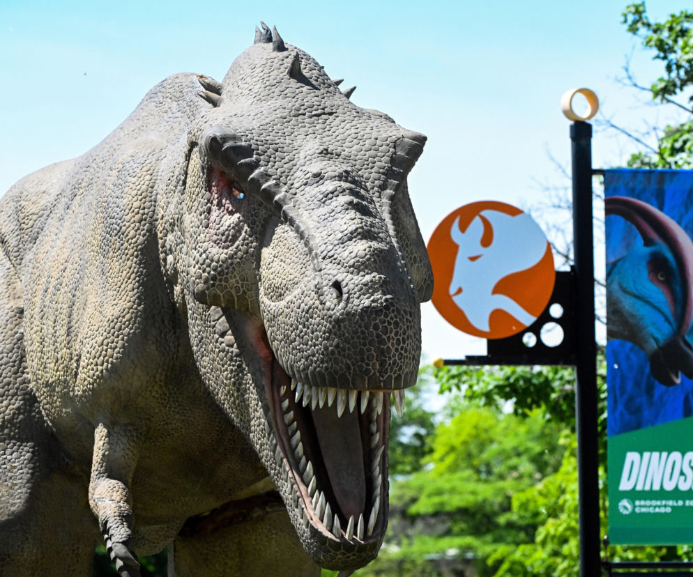 Dinozaury w Brookfield Zoo Chicago