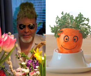 Rzeżuchy które wyglądają jak Krzysztof Rutkowski i jego legendarne fryzury