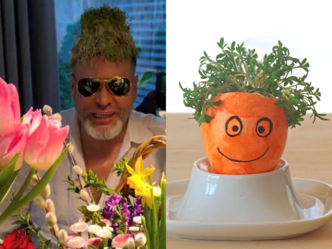 Rzeżuchy które wyglądają jak Krzysztof Rutkowski i jego legendarne fryzury