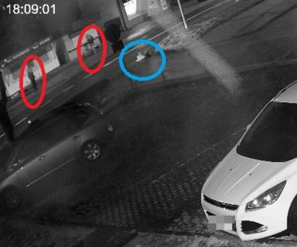 Szokujące kulisy wypadku w Zamościu