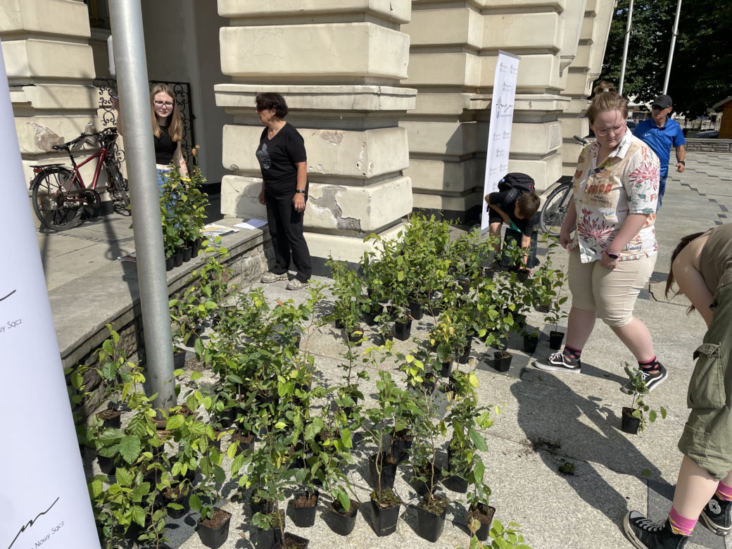Młodzieżowa Rada Miasta rozdała sadzonki drzew