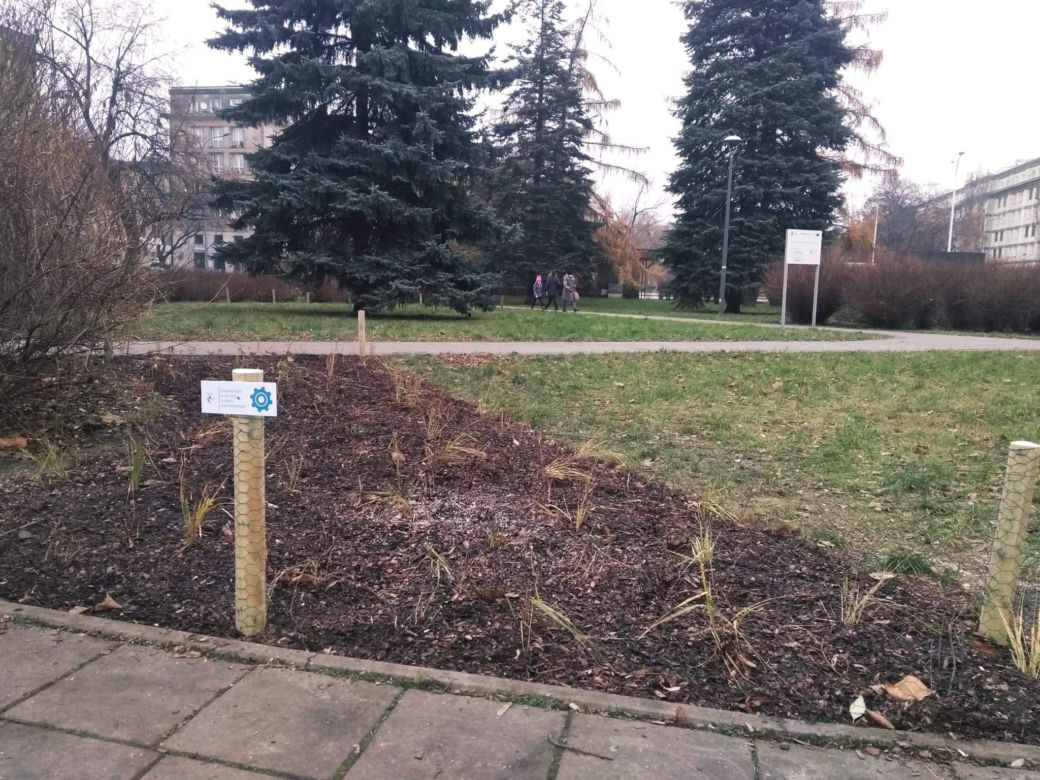 Tak zmienia się Praga-Północ