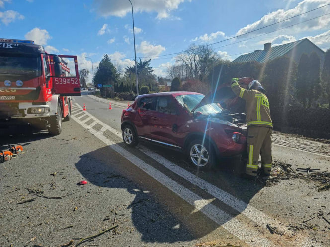 Drzewo spadło na jadące auto! Część gałęzi wbiła się w pojazd