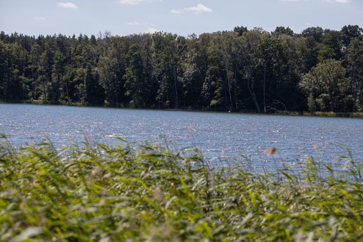 Utopił ojczyma, zdradził go pamiętnik