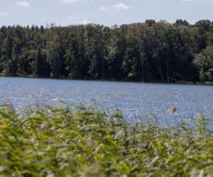Utopił ojczyma, zdradził go pamiętnik