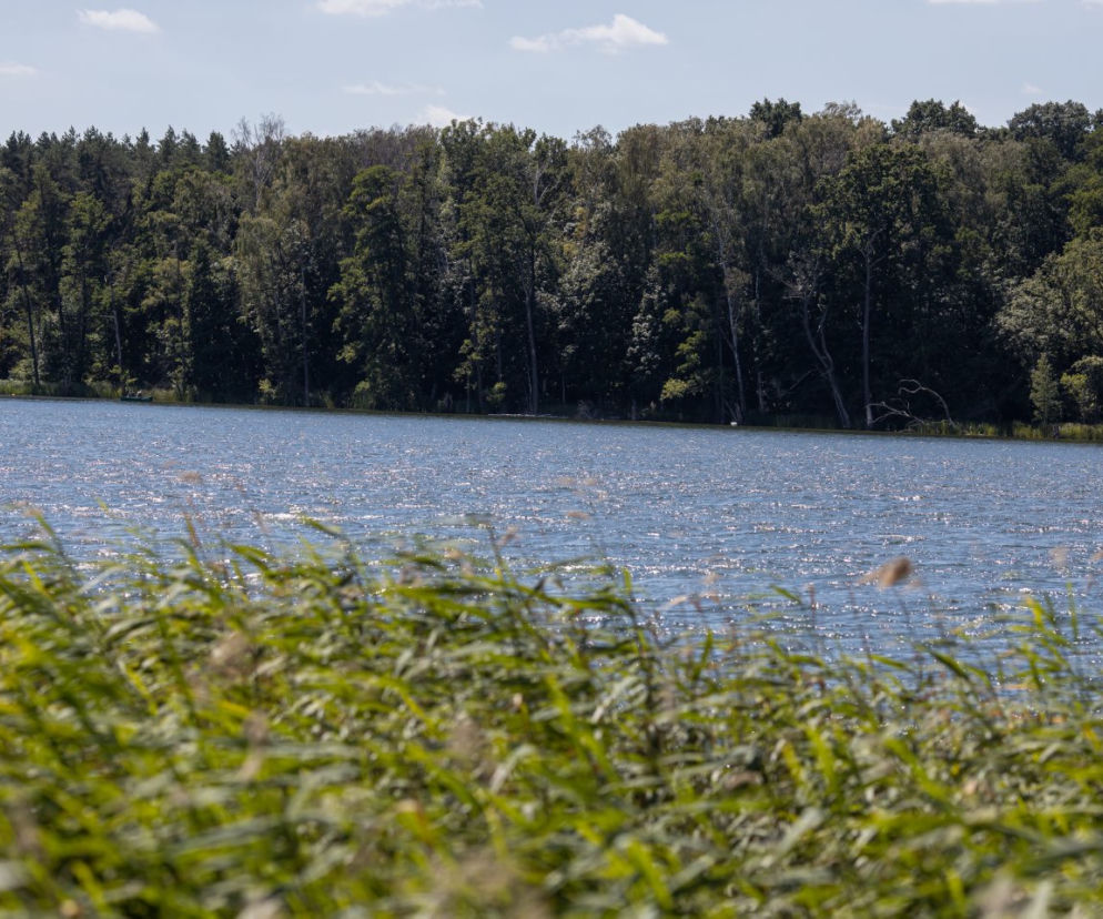 Utopił ojczyma, zdradził go pamiętnik