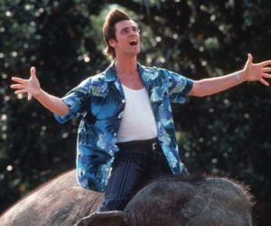 Jim Carrey / Ace Ventura