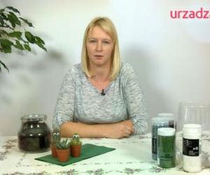 Krajobraz w szkle