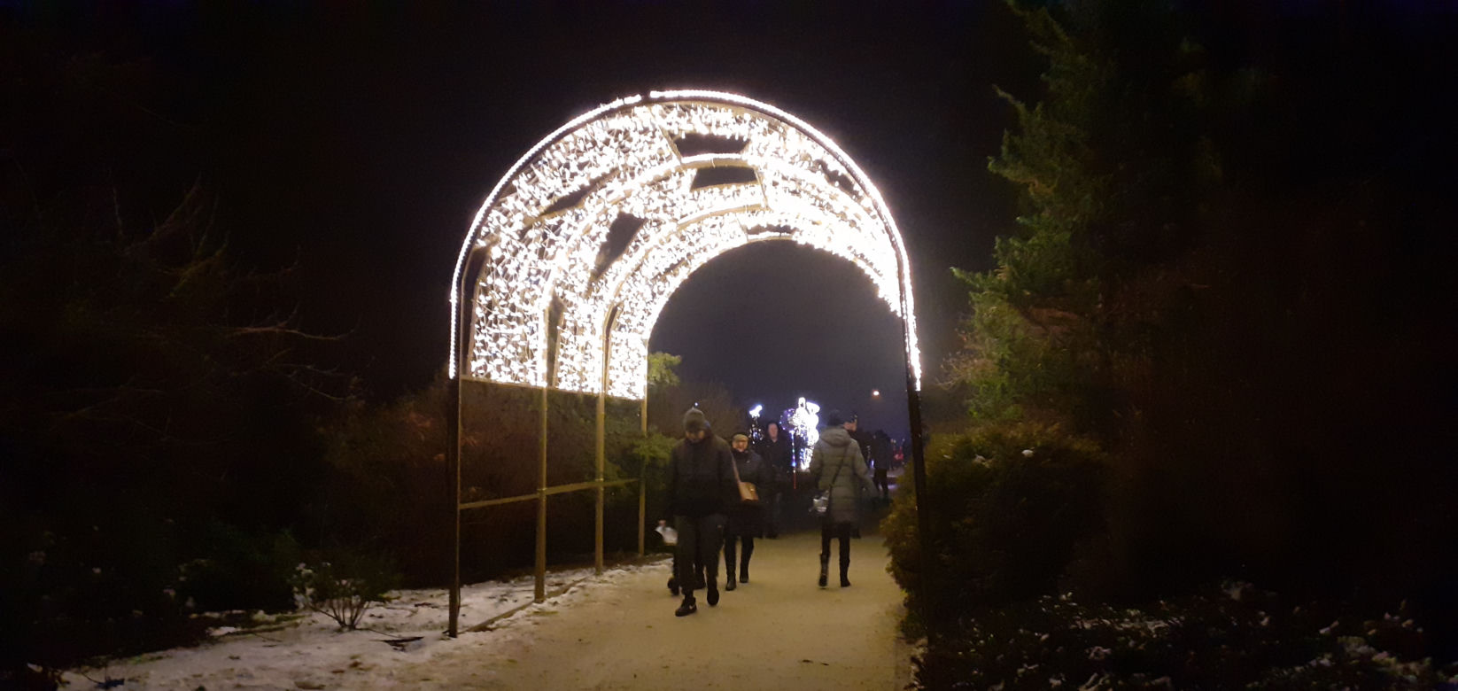 Lumina Park w Ogrodzie Botanicznym UMCS w Lublinie