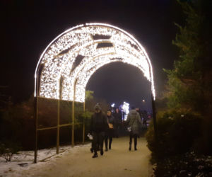 Lumina Park w Ogrodzie Botanicznym UMCS w Lublinie