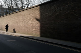 Oskarżenie proboszcza z Lublina. Sekcja zwłok psa ujawnia szokującą prawdę?