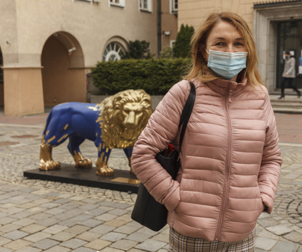 Opole. Złote Lwy robią szał! Opolanie podzieleni. Kicz, czy sztuka? [WIDEO]