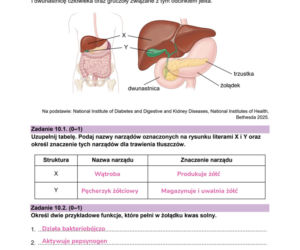Matura próbna 2026 - biologia. Wszystkie odpowiedzi do arkusza CKE z biologii 14.01.2026