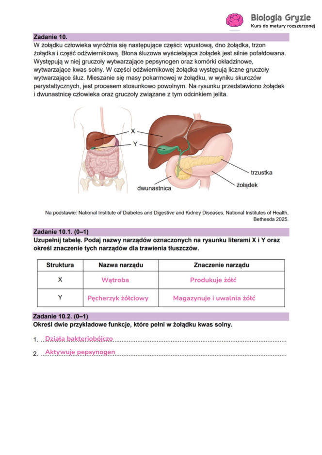 Matura próbna 2026 - biologia. Wszystkie odpowiedzi do arkusza CKE z biologii 14.01.2026