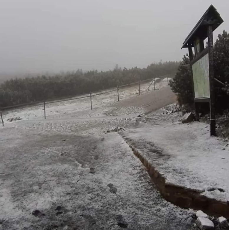 Śnieżka w śniegu. We wrześniu spadł pierwszy śnieg