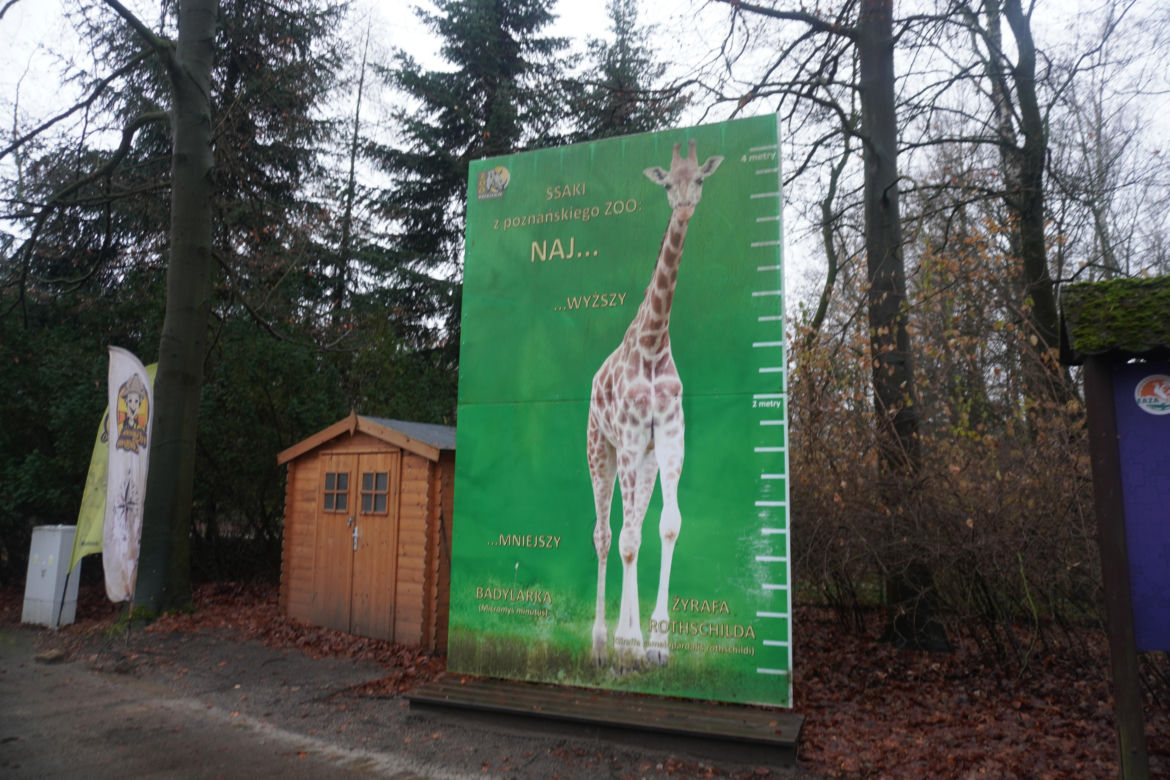 Zoo w Poznaniu zimą