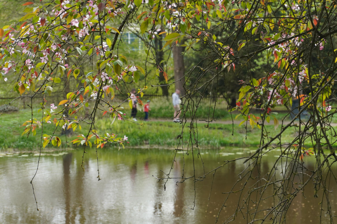 Ogród Botaniczny w Lublinie