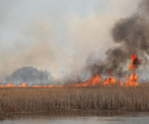 Pożar w Biebrzańskim Parku Narodowym