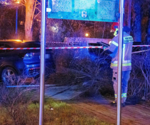 Tragiczny wypadek. Córka wjechała w matkę