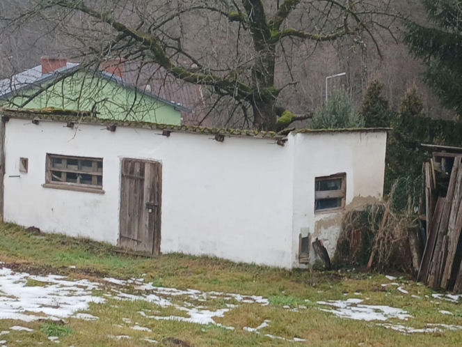 Michał Witkowski pod domem Violetty Villas