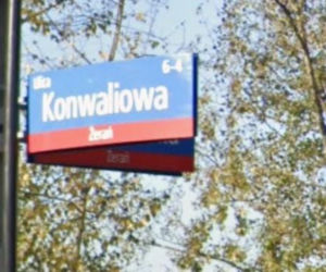 Oto najbardziej wiosenne ulice w stolicy! Tu wiosna trwa cały rok!