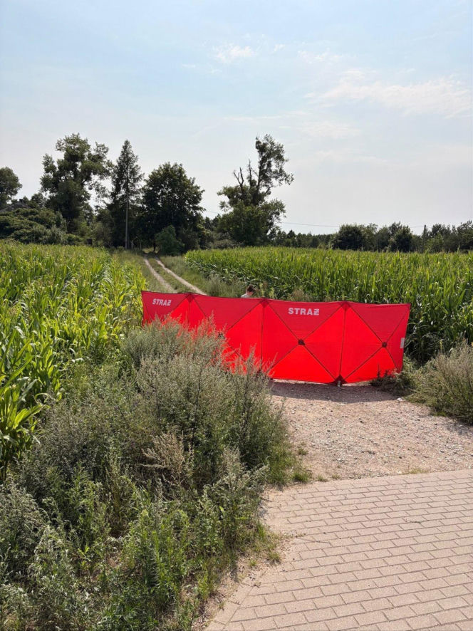 Pojechał na posesję. Nie zauważył, że na drodze leży jego brat. Na ratunek było za późno
