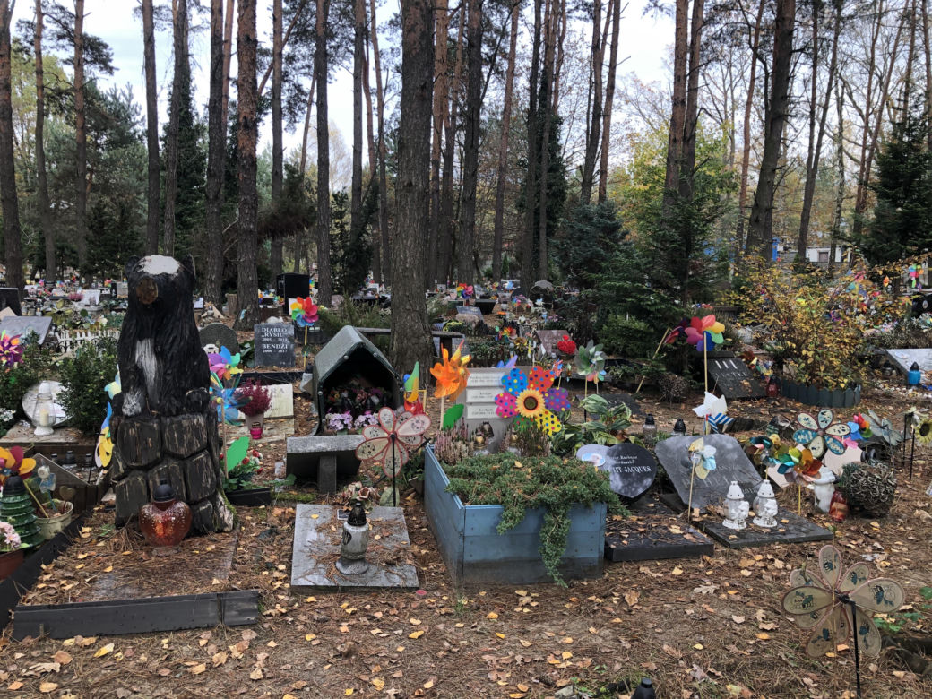 Cmentarze dla zwierząt w Koniku Nowym. "Wszyscy, których znam mówią, że zwierzęta zasługują na dużo więcej miłości i dobroci, ponieważ są lepsi od ludzi widać to teraz"