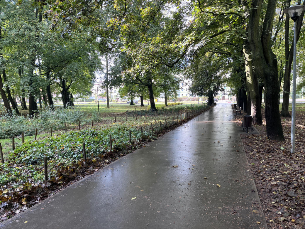 Park Kopernika w Gorzowie w jesiennej scenerii