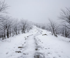 Bieszczadzkie szlaki niebezpieczne. Kto powinien unikać zimowych wędrówek?