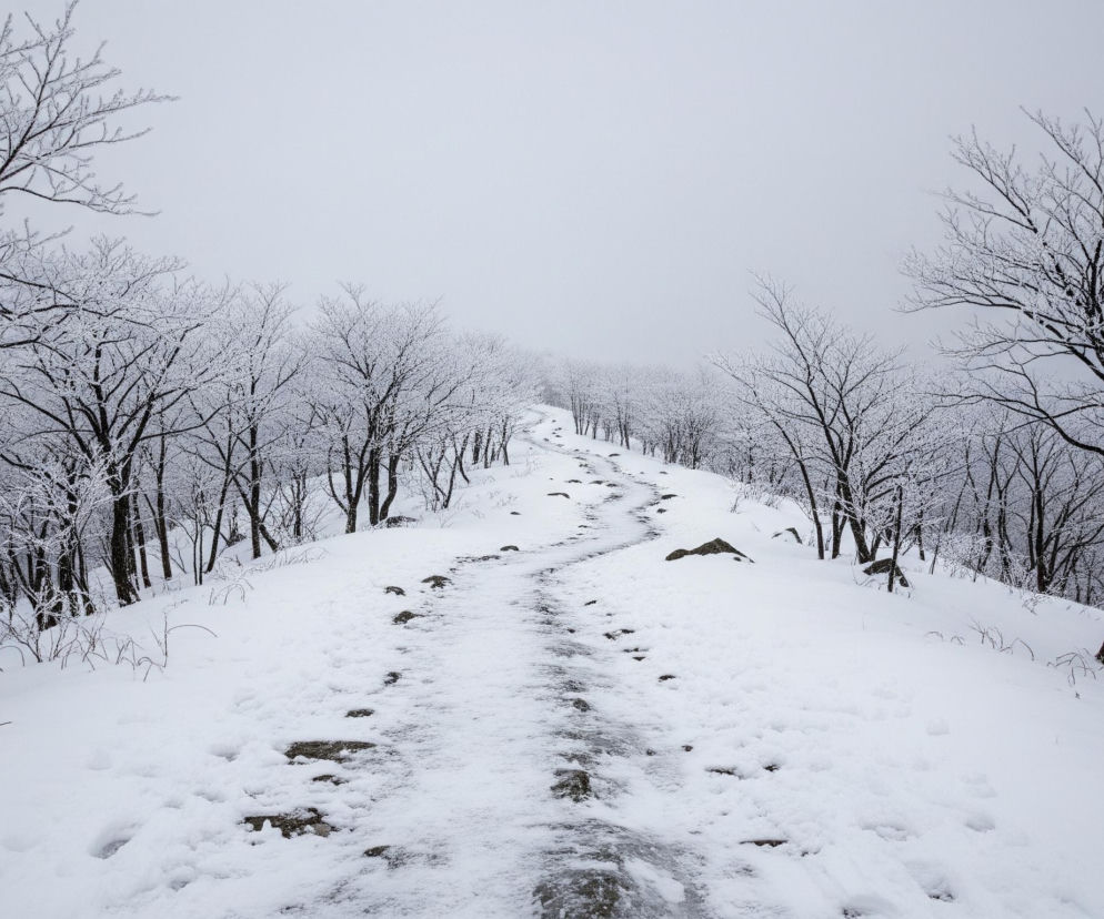 W centrum obrazu znajduje się ścieżka wijąca się pod górę i zanikająca w oddali, pokryta śniegiem z widocznymi, odsłoniętymi kamieniami. Po obu stronach ścieżki rozciąga się zaśnieżony krajobraz z licznymi drzewami, których nagie gałęzie są pokryte szronem, tworząc biały wzór na ciemnych pniach i konarach. Horyzont dominuje jasne, jednolicie szare niebo, które zlewa się z dalszymi partiami zaśnieżonych wzgórz, tworząc mglistą atmosferę. Całość utrzymana jest w chłodnej palecie barw bieli, szarości i ciemnego brązu.