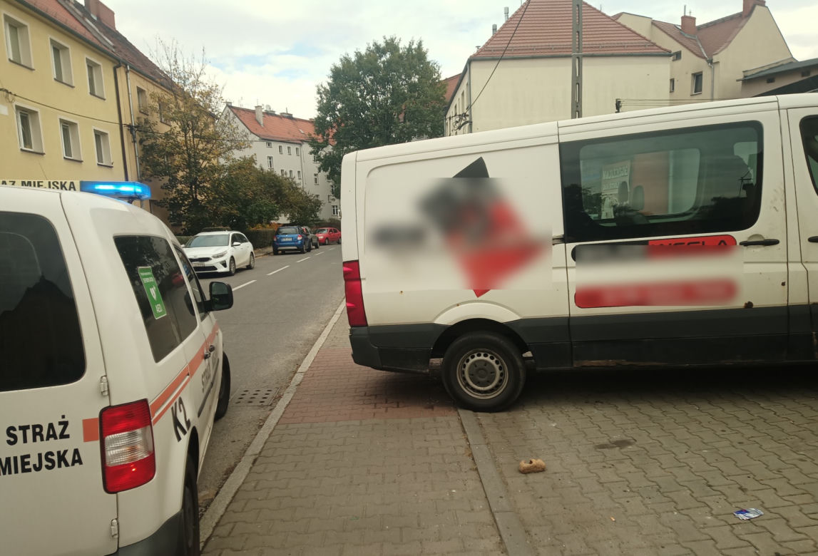 Mistrzowie parkowania w Gliwicach
