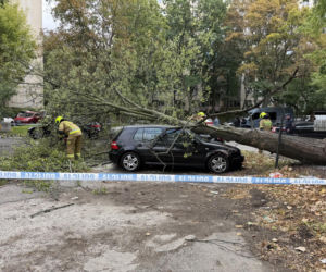 Potworne skutki wichury w Warszawie