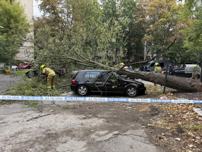 Potworne skutki wichury w Warszawie