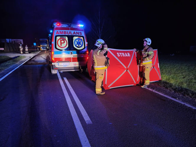 Osobowe Audi potrąciło mężczyznę. Śmiertelny wypadek na DK73 w Brniu