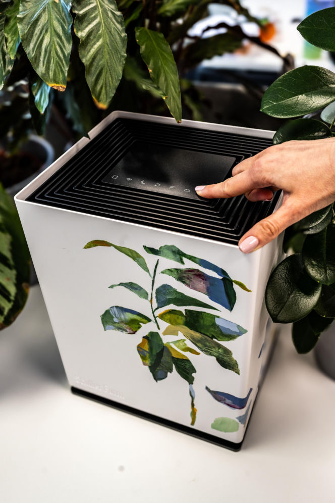 Noah od Stadler Form