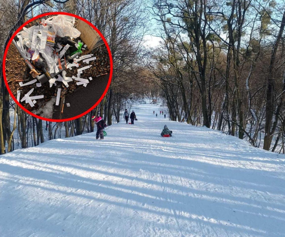 Igły i strzykawki porzucone w parku. Mieszkańcy Tarnowskich Gór alarmują