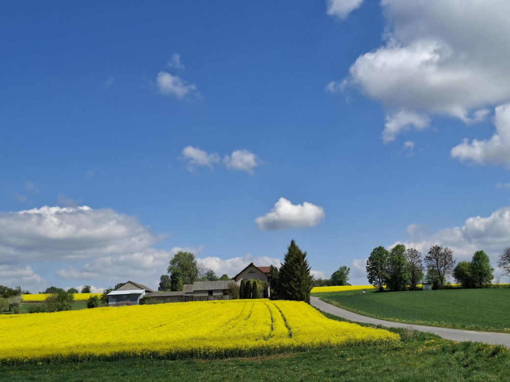 Mirogonowice. Świętokrzyskie