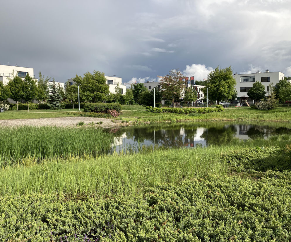 Czy to koniec rynku mieszkaniowego, jaki znaliśmy? Analiza PKO BP pokazuje zmiany i nową rzeczywistość