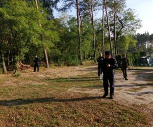 W Puszczy Noteckiej trwa obława