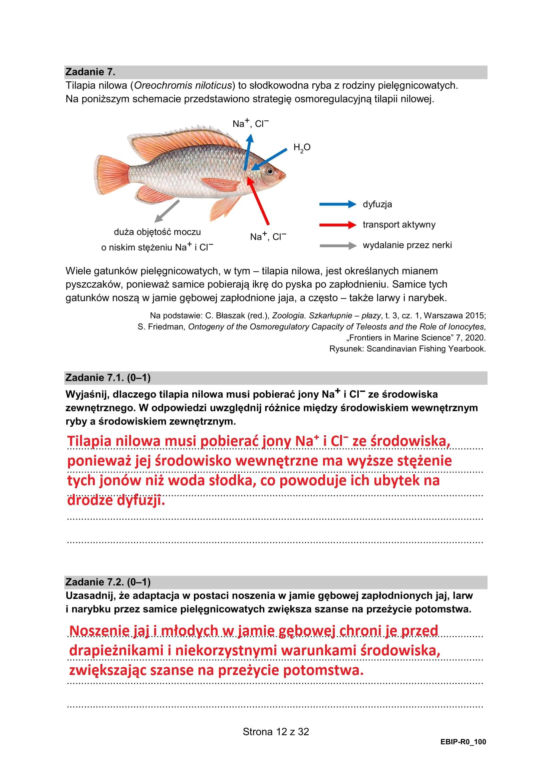 Matura 2025 biologia rozszerzona: ODPOWIEDZI do wszystkich zadań, gotowe rozwiązania matury z biologii rozszerzonej - Formuła 2015 [9.05.2025]	