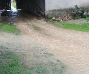 Zalany Domaszków