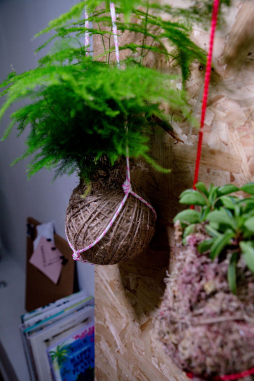 Kokedama