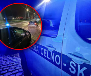 Kontrola na drodze z zaskakującym finałem. Celnicy nie mogli uwierzyć w to, co zobaczyli 