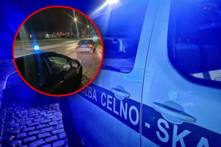 Kontrola na drodze z zaskakującym finałem. Celnicy nie mogli uwierzyć w to, co zobaczyli 