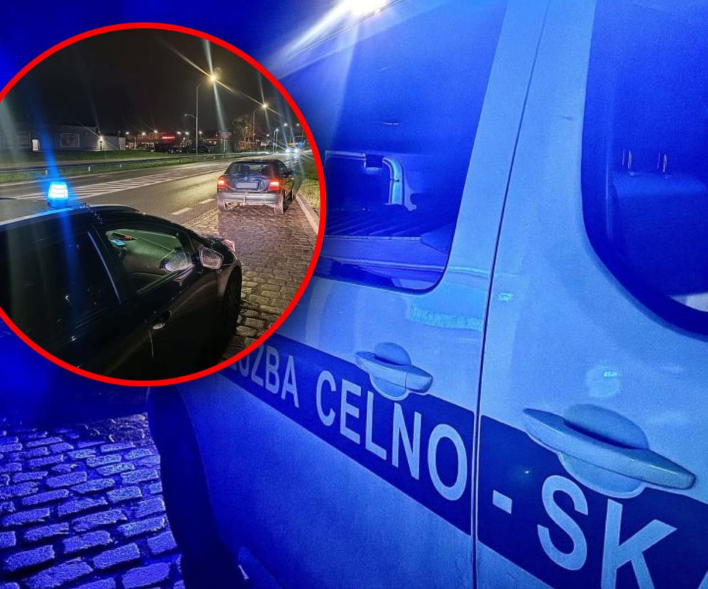 Niecodzienna interwencja celników w Przecławiu