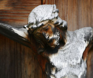 Okrutny żart wandala w Orzechu. Zobacz zdjęcie