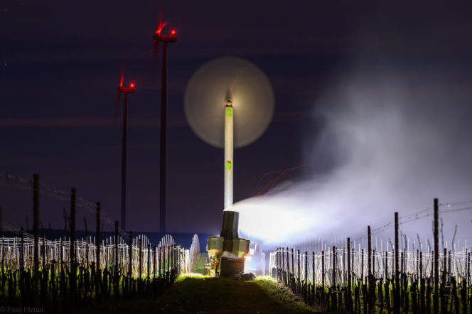 Przymrozki w winnicy - podgrzewanie winorośli